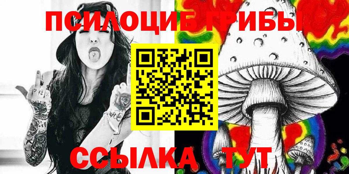 Кимры  Галлюциногенные грибы GOLDEN TEACHER  Вход с VPN  Галлюциногенные грибы Magic Shrooms 